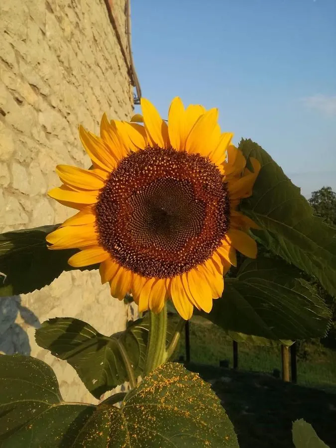 Bed & Breakfast Bed and Breakfast Casale Monte Valestra Bebbio